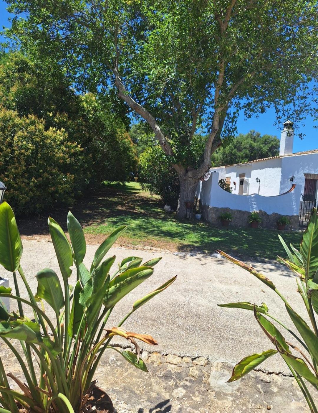 Casa Rural El Nino Santamaria , Con Piscina Y Wifi Vejer de la Frontera Bagian luar foto